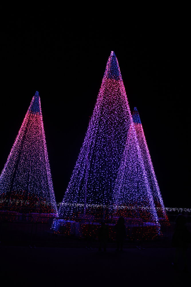 Coney Island Christmas Lights 2024 Toyota Aimee Atlante